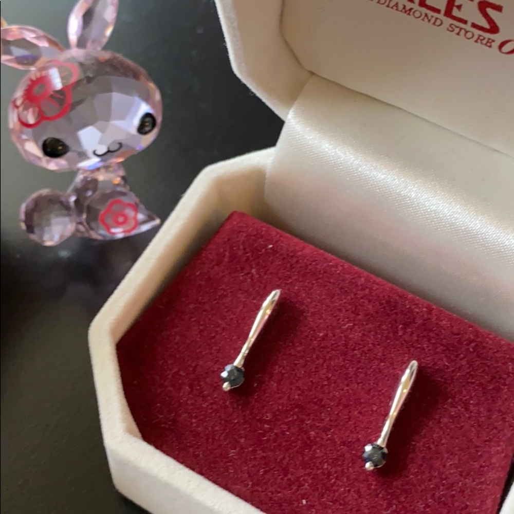 Sliver Sapphire Earnings